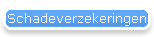 Schadeverzekeringen